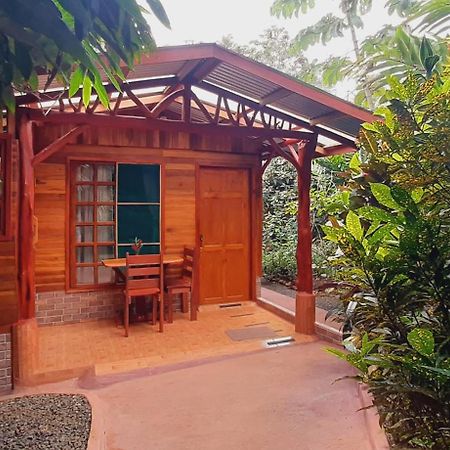Jardin Entre Montanas Bed & Breakfast Bijagua Exterior foto
