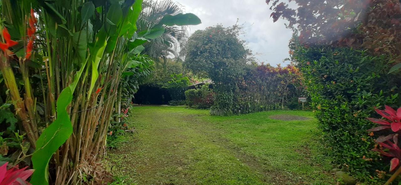 Jardin Entre Montanas Bed & Breakfast Bijagua Exterior foto