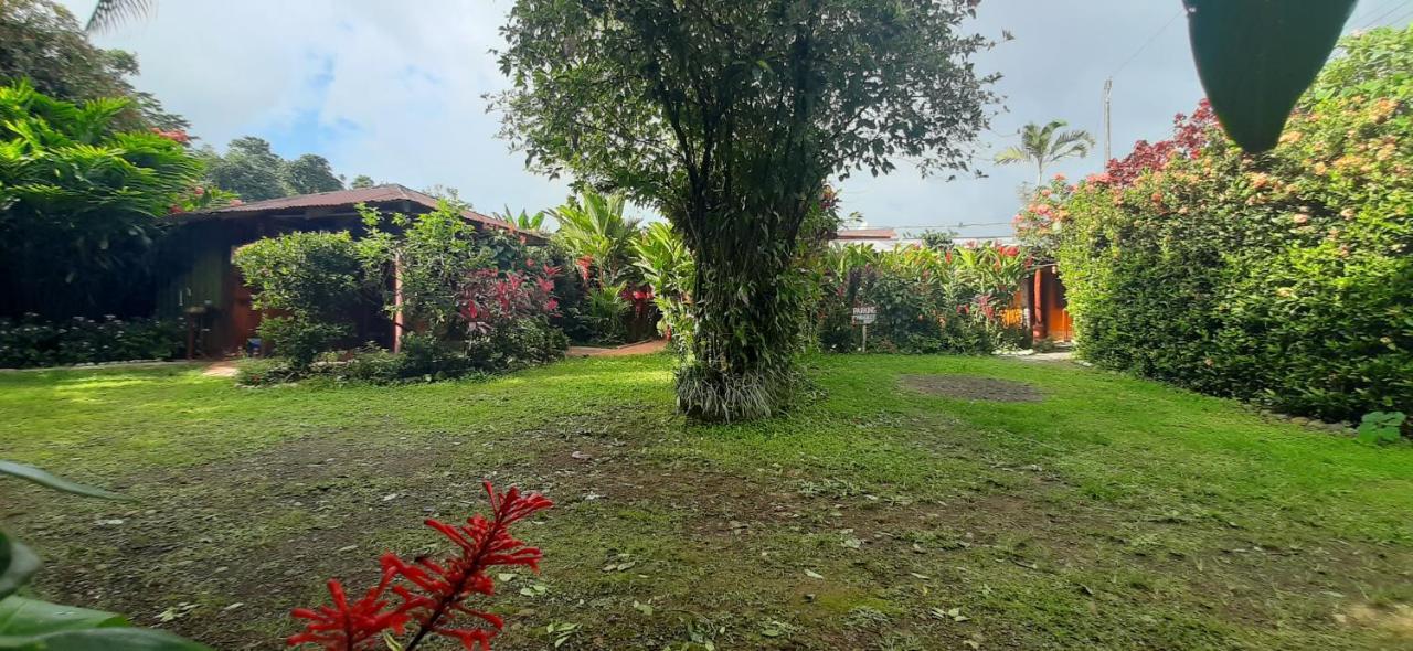 Jardin Entre Montanas Bed & Breakfast Bijagua Exterior foto
