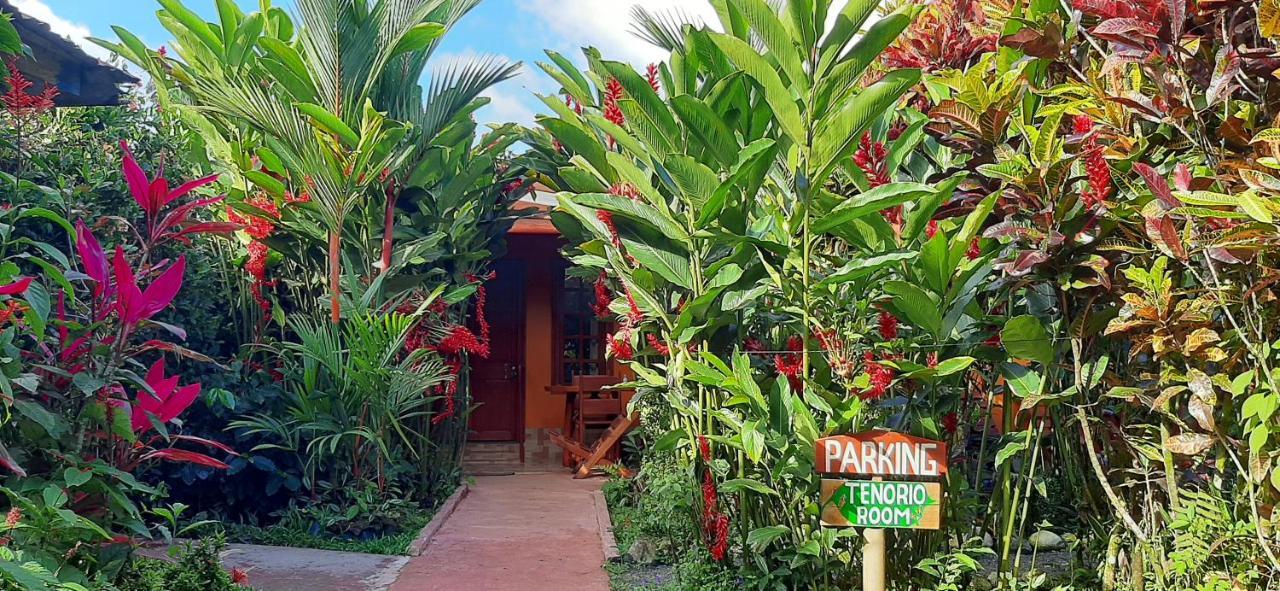 Jardin Entre Montanas Bed & Breakfast Bijagua Exterior foto
