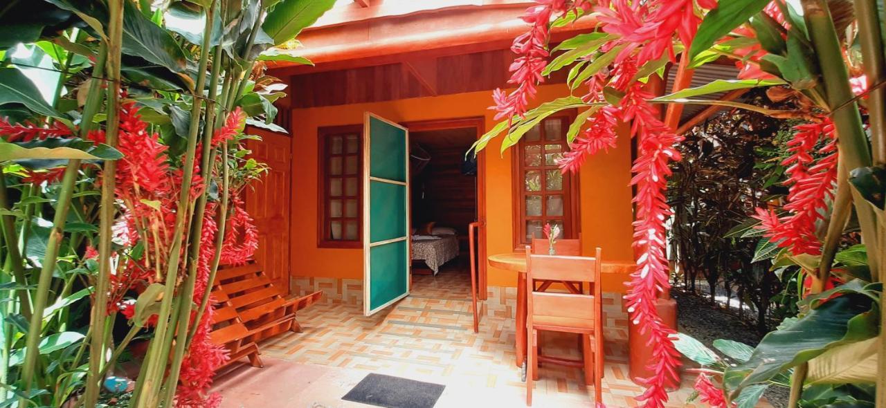 Jardin Entre Montanas Bed & Breakfast Bijagua Exterior foto