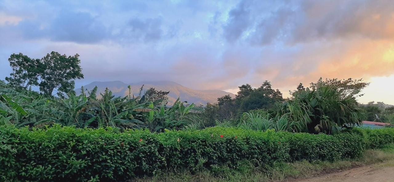 Jardin Entre Montanas Bed & Breakfast Bijagua Exterior foto